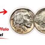 1912 Buffalo Nickel Electrotypes: James Earle Fraser’s Early Designs